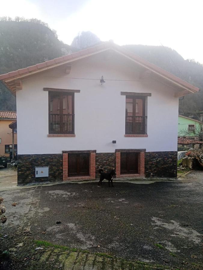 Casa Rural Gueilones, Parque Natural De Ponga Sobrefoz Ngoại thất bức ảnh